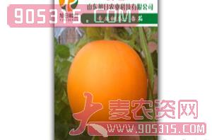 厚皮甜瓜种子-榜首-旭日农业