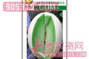厚皮甜瓜种子-台湾玉姑-旭日农业农资招商产品