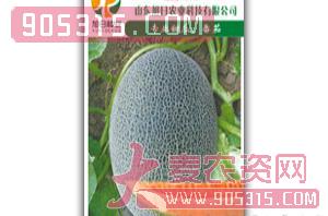 厚皮甜瓜种子-蜜17-旭日农业农资招商产品