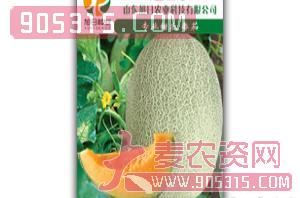 厚皮甜瓜种子-超25-旭日农业
