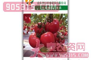 红果番茄种子-瑞胜6号-旭日农业农资招商产品