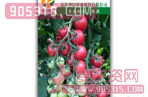 粉果樱桃番茄-粉宝贝-旭日农业