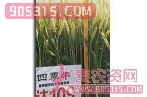 小麦种子-俊达109-联华种业农资招商产品