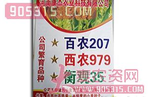 小麦种子-百农207-康杰农业农资招商产品