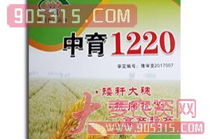 小麦种子-中育1220-金苹果种业农资招商产品