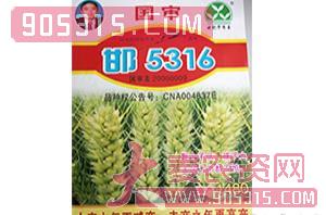 小麦种子-邯5316-冠丰种业农资招商产品