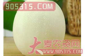 甜瓜种子-35号-哈维农业农资招商产品