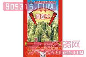 小麦种子-周麦22-浩迪农业