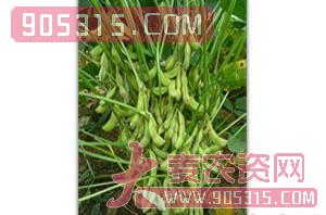 大豆种子-豫黄0311-浩迪农业农资招商产品