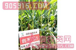 玉米种子-创玉701-浩迪农业农资招商产品