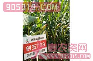玉米种子-创玉708-浩迪农业农资招商产品