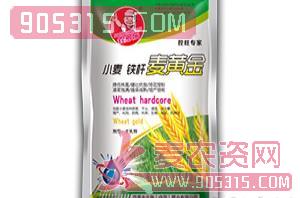 小麦铁杆麦黄金-农多乐-四季丰农资招商产品