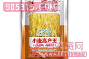 小麦高产王-农多乐-四季丰