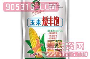 玉米矮丰饱-农多乐-四季丰农资招商产品