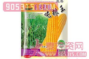 玉米控旺吨粮王-盈喜-绿色丰农