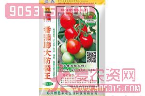 番茄膨大剂-番茄膨大防裂王-绿色丰农农资招商产品