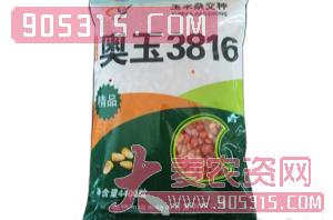 奥玉3816-玉米种子-良玉农业农资招商产品