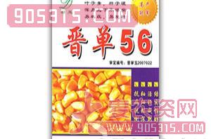 晋单56-玉米种子-家乐种业农资招商产品