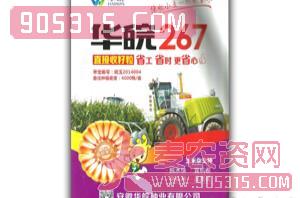 华皖267玉米种子-华皖种业农资招商产品