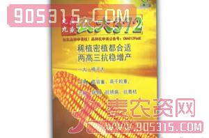 农大372-玉米种子-九鼎九盛
