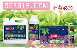 叶菜必加氨基螯合植物蛋白酚-碧哆加-鑫禾生物农资招商产品