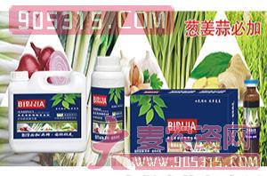 葱姜蒜必加氨基螯合植物蛋白酚-碧哆加-鑫禾生物农资招商产品