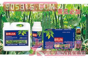 黄瓜必加氨基螯合植物蛋白酚-碧哆加-鑫禾生物农资招商产品