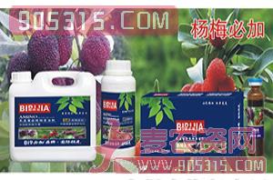 杨梅必加氨基螯合植物蛋白酚-碧哆加-鑫禾生物农资招商产品
