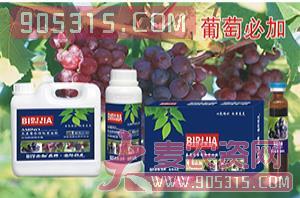 葡萄必加氨基螯合植物蛋白酚-碧哆加-鑫禾生物农资招商产品
