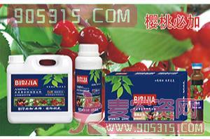 樱桃必加氨基螯合植物蛋白酚-碧哆加-鑫禾生物农资招商产品