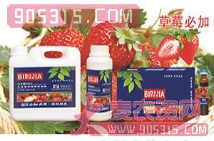 草莓必加氨基螯合植物蛋白酚-碧哆加-鑫禾生物农资招商产品