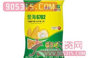 登海6702-玉米种子-登海道吉农资招商产品