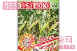 许科328-玉米种子农资招商产品