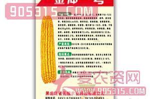 金冲1号-玉米种子-天耀