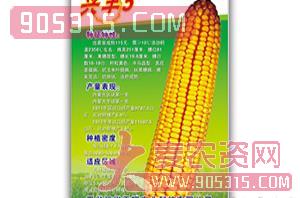 兴丰5号-玉米种子-天耀农资招商产品