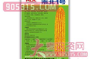 南北1号-玉米种子-天耀农资招商产品