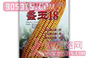 蠡玉18-玉米种子-豫北种业