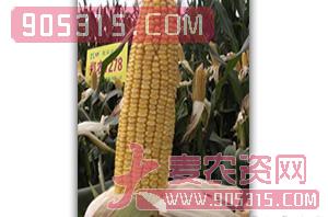 郑农7278-玉米种子-豫北种业