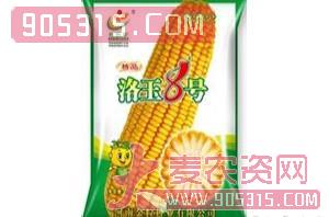 洛玉8号-玉米种子-豫北种业