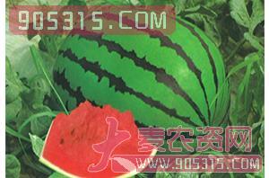 西瓜种子-创甜-风调雨顺农资招商产品