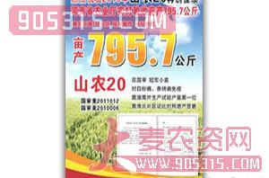 山农20-小麦种子-振一种业农资招商产品