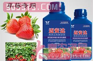 草莓专用新型超浓缩生物活性菌肥（瓶装）-迈安达农资招商产品