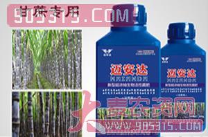 甘蔗专用新型超浓缩生物活性菌肥（瓶装）-迈安达