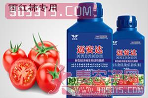 西红柿专用新型超浓缩生物活性菌肥（瓶装）-迈安达农资招商产品