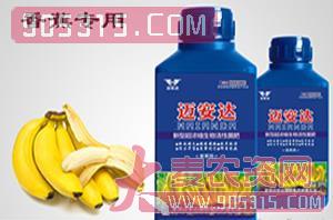 香蕉专用新型超浓缩生物活性菌肥（瓶装）-迈安达