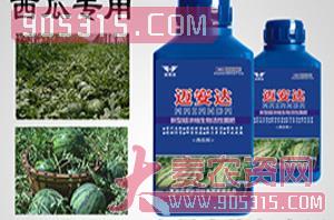 西瓜专用新型超浓缩生物活性菌肥-迈安达农资招商产品