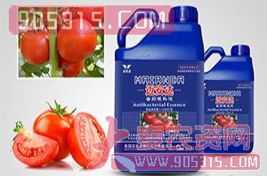 番茄专用根补液-迈安达农资招商产品