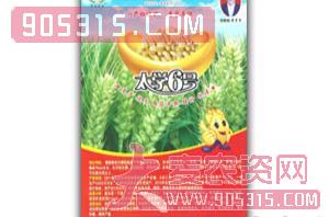 太学6号-小麦种子-华夏种业农资招商产品