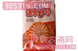 洛单6号-玉米种子-祥发种业农资招商产品