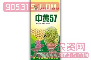 中黄57-大豆种子-圣源种业